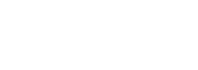 DDU logo